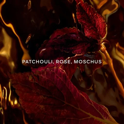 Absolus Allegoria Eau de Parfum Spray Patchouli Ardent von GUERLAIN