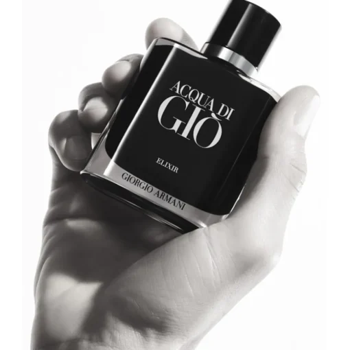 Acqua di Giò Homme Elixir von Armani