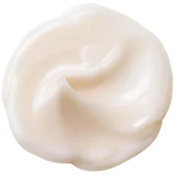 Bio-Performance Advanced Super Revitalizing Cream von Shiseido