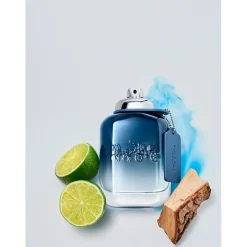 Blue Eau de Toilette Spray von Coach