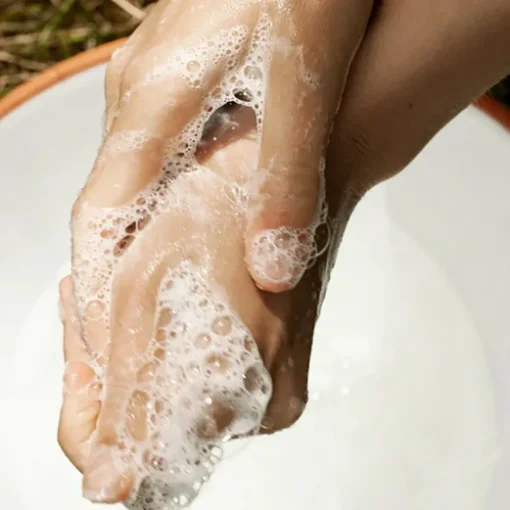 Botanist Hand & Body Wash von Björk & Berries