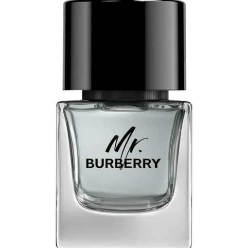 Burberry Mr. Burberry Black Eau de Toilette Spray