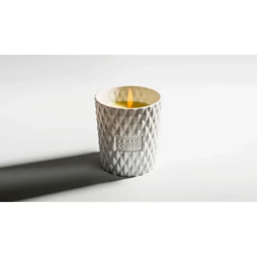 Candles Chypre Cedar Poinsettia Candle von Claus Porto