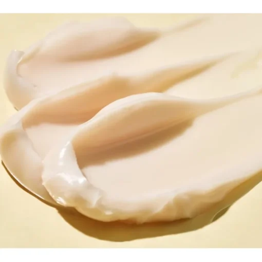 Ceramidin Feuchtigkeitsspendende Gesichtscreme mit Ceramiden von Dr. Jart+