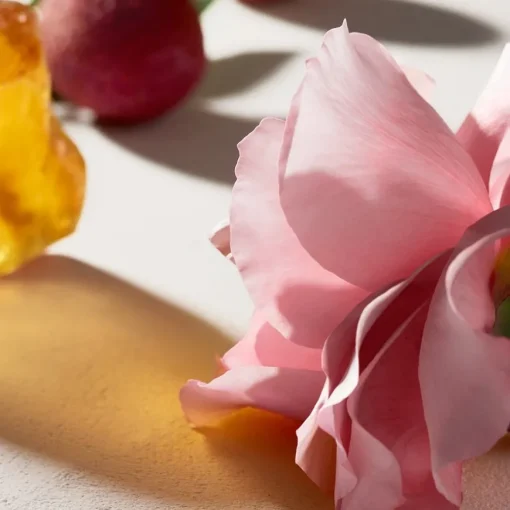 Chloé Chloé Eau de Parfum Spray