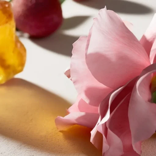 Chloé Chloé Eau de Parfum Spray