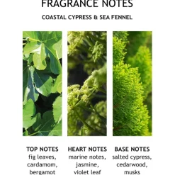 Coastal Cypress & Sea Fennel Bath & Shower Gel von Molton Brown