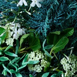 Coastal Cypress & Sea Fennel Bath & Shower Gel von Molton Brown