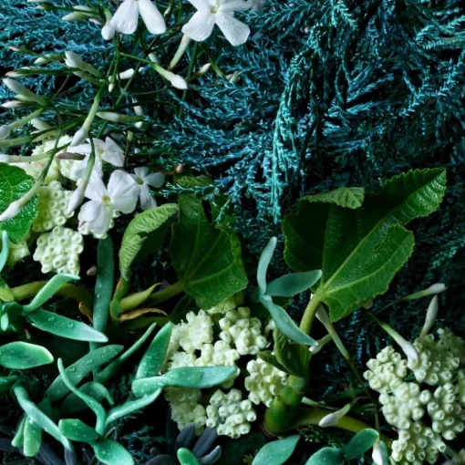 Coastal Cypress & Sea Fennel Bath & Shower Gel von Molton Brown