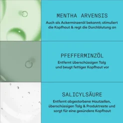 Coloriertes, dezent dünner werdendes Haar Cleanser Shampoo Colored Hair Light Thinning von Nioxin