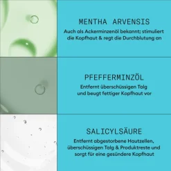 Coloriertes, dezent dünner werdendes Haar Cleanser Shampoo Colored Hair Light Thinning von Nioxin
