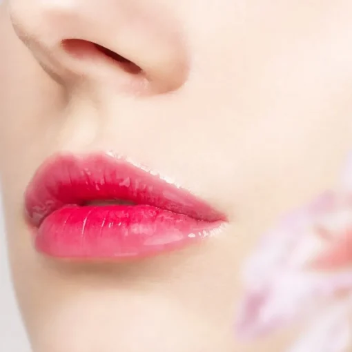 Colours Total Lip Gloss von SENSAI