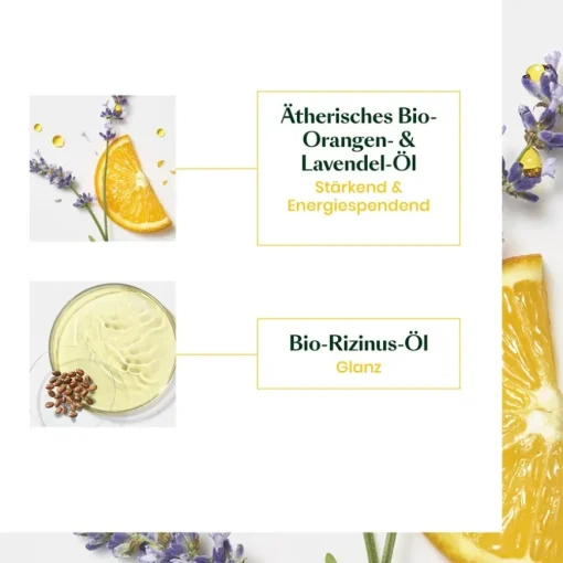 Complexe 5 HEAD SPA Stimulierendes Konzentrat von René Furterer
