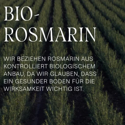 Conditioner Vitalisierende Rosmarin-Spülung Nährt und verleiht einen natürlichen Glanz  von Weleda