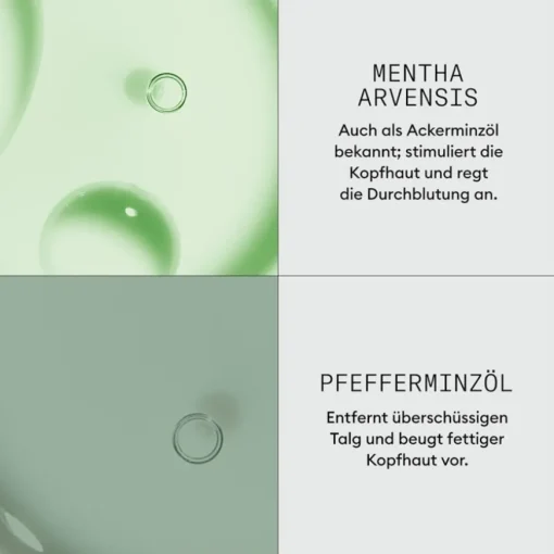 3D Expert Dermabrasion Scalp Renew Treatment von Nioxin
