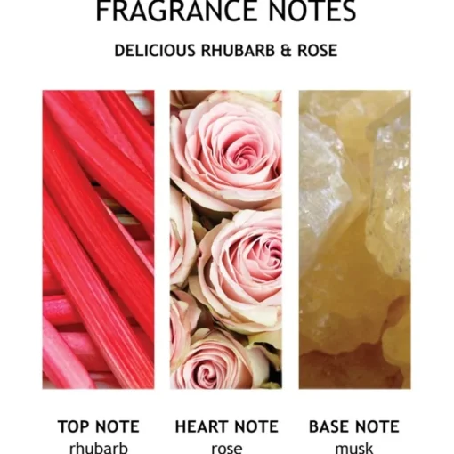 Delicious Rhubarb & Rose Bath & Shower Gel von Molton Brown