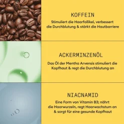 Dezent dünner werdendes Haar  Scalp & Hair Treatment Natural Hair Light Thinning von Nioxin