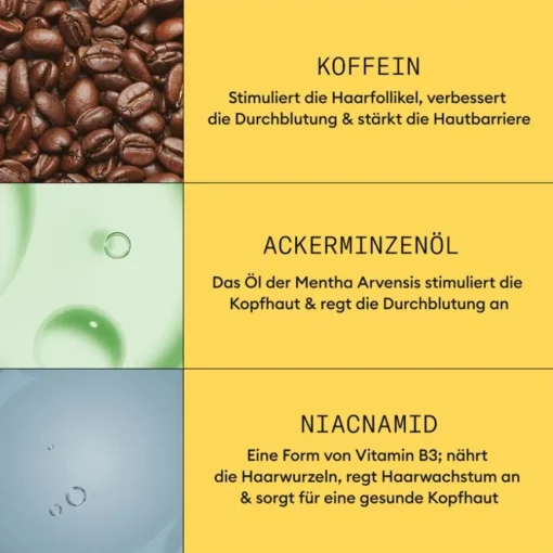 Dezent dünner werdendes Haar  Scalp & Hair Treatment Natural Hair Light Thinning von Nioxin