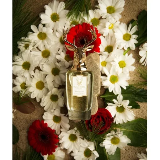 Dorasima Eau de Parfum Spray von Pana Dora Sweden