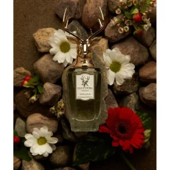 Dorasima Eau de Parfum Spray von Pana Dora Sweden