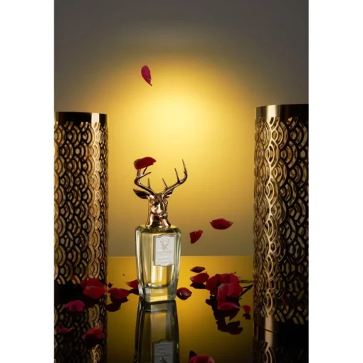 Dorasima Eau de Parfum Spray von Pana Dora Sweden