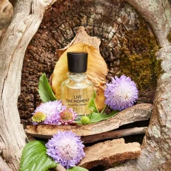 Douglas Collection Beautiful Stories Cherish The Woods Eau de Parfum Spray