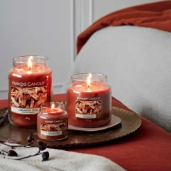 Duftkerzen Cinnamon Stick von Yankee Candle
