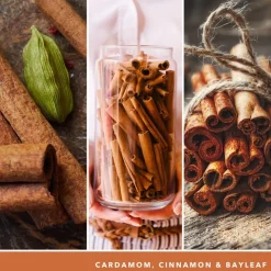 Duftkerzen Cinnamon Stick von Yankee Candle