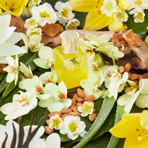 Escapade Solaire Eau de Parfum Spray von Jardin Bohème