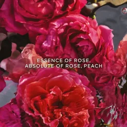 GUERLAIN Aqua Allegoria Rosa Rossa Forte Eau de Parfum Spray