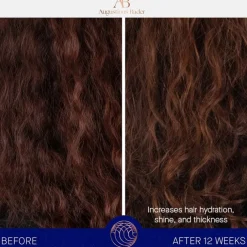Haare The Shampoo von Augustinus Bader