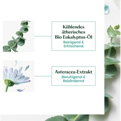 Head Spa Astera Beruhigendes Konzentrat von René Furterer