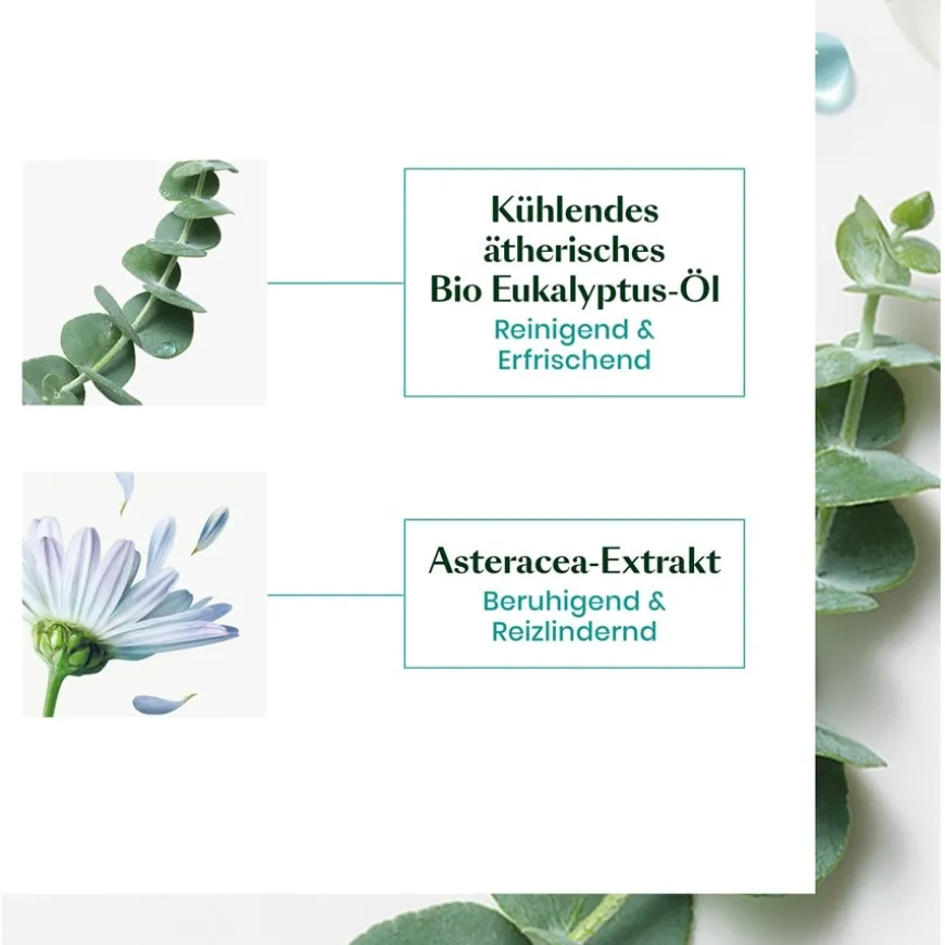 Head Spa Astera Beruhigendes Konzentrat von René Furterer