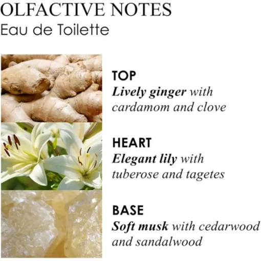 Heavenly Gingerlily Eau de Toilette Spray von Molton Brown