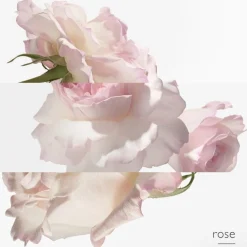 Hermès Collection Colognes Eau de Pamplemousse Rose Eau de Cologne Spray