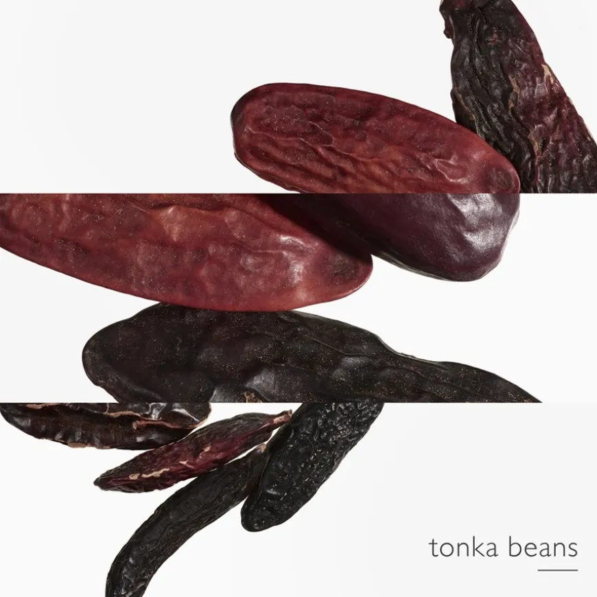 Hermès Eau des Merveilles L'Ombre des Merveilles Eau de Parfum Spray