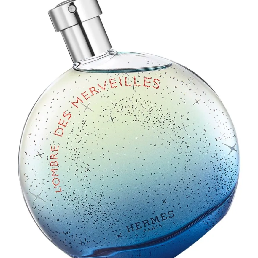Hermès Eau des Merveilles L'Ombre des Merveilles Eau de Parfum Spray