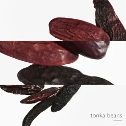 Hermès Eau des Merveilles L'Ombre des Merveilles Eau de Parfum Spray