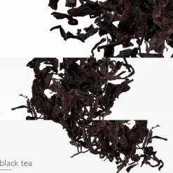 Hermès Eau des Merveilles L'Ombre des Merveilles Eau de Parfum Spray