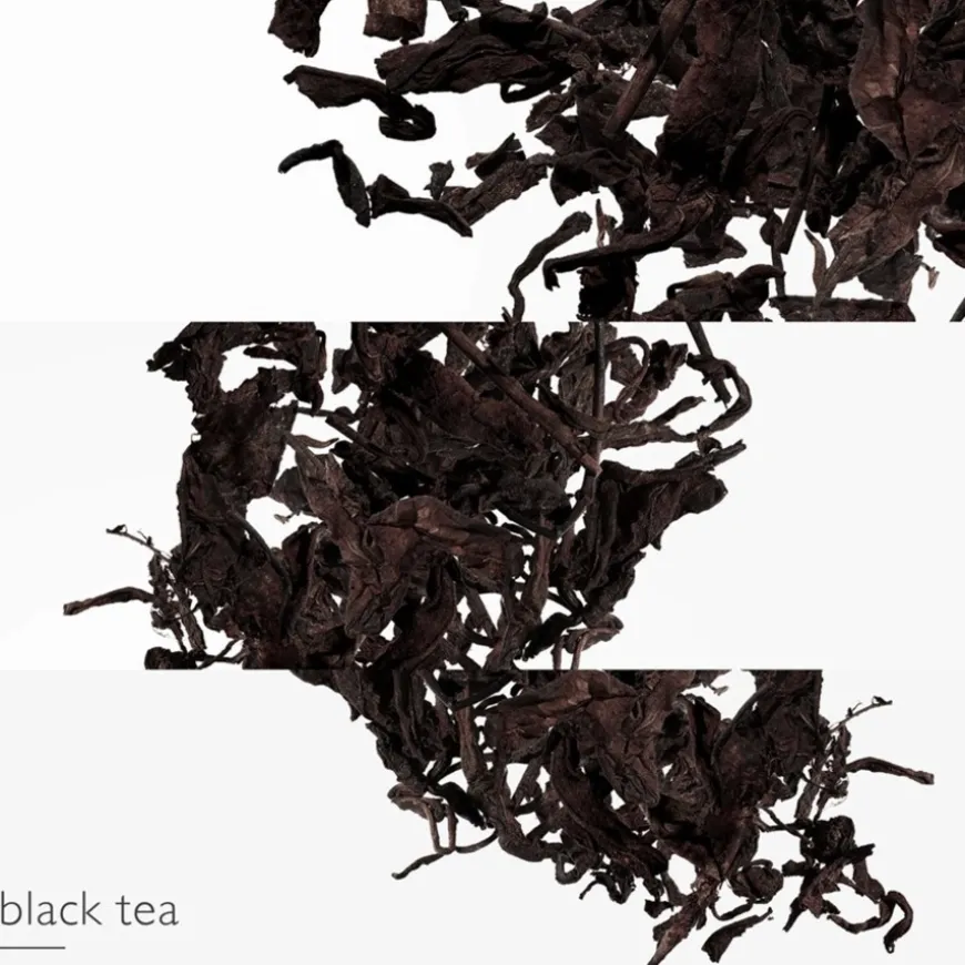 Hermès Eau des Merveilles L'Ombre des Merveilles Eau de Parfum Spray