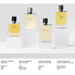 Hermès Terre d'Hermès Eau Givrée Eau de Parfum Spray