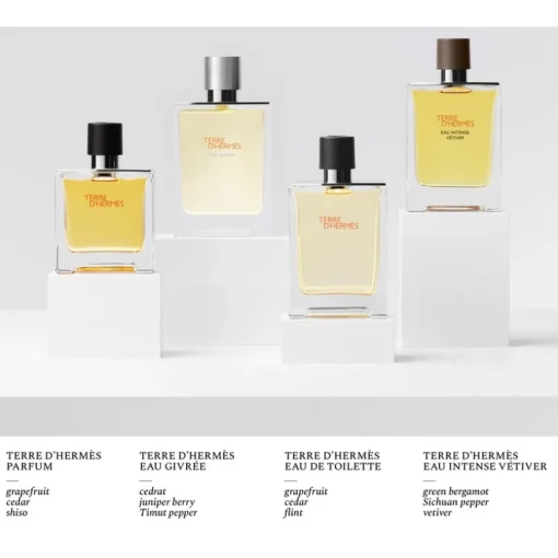 Hermès Terre d'Hermès Eau Givrée Eau de Parfum Spray