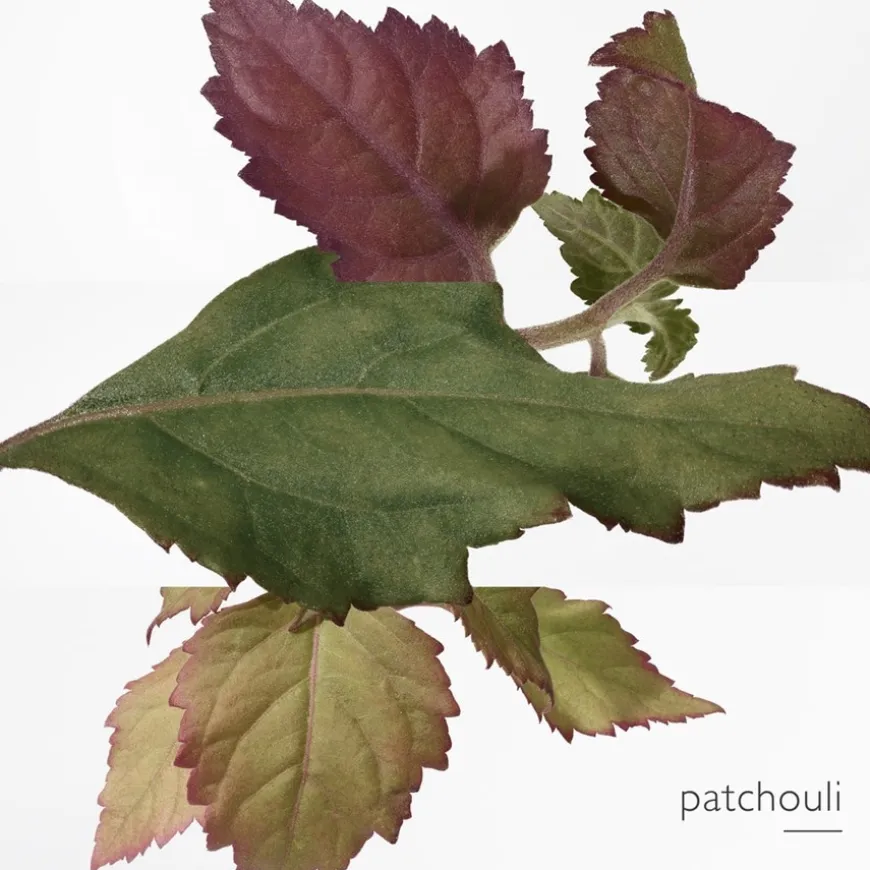 Hermès Twilly d'Hermès Poivrée Eau de Parfum Spray