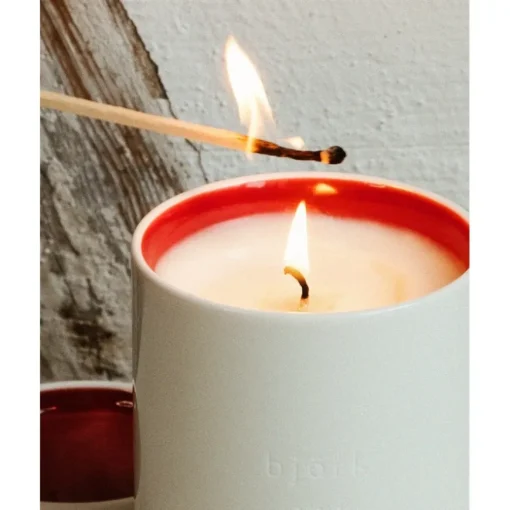 Home Scented Candle Fäviken von Björk & Berries