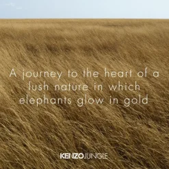KENZO JUNGLE Eau de Parfum Spray von KENZO