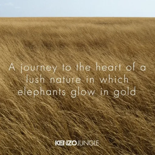 KENZO JUNGLE Eau de Parfum Spray von KENZO