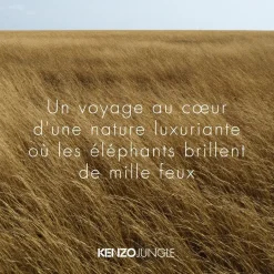 KENZO JUNGLE Eau de Parfum Spray von KENZO