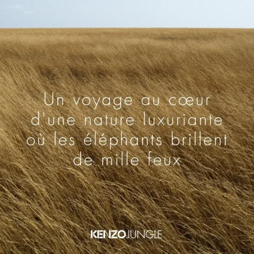 KENZO JUNGLE Eau de Parfum Spray von KENZO