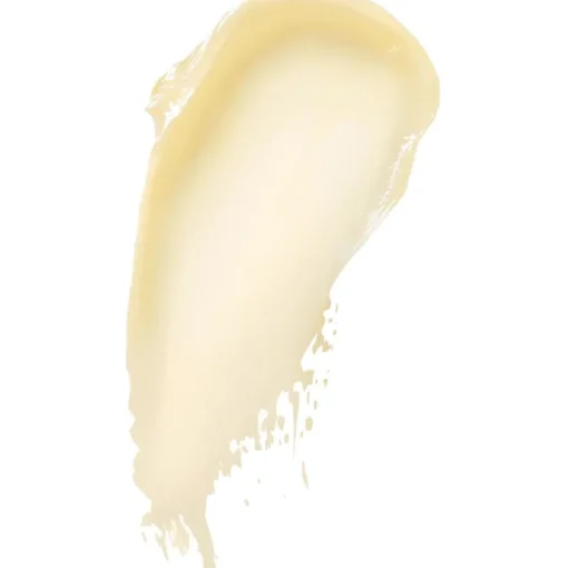 Kiehl's Buttermask For Lips