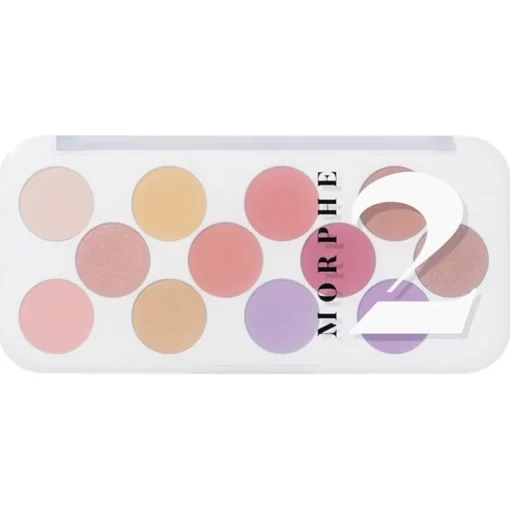 Lidschatten 12 Pan Ready for Anything Social Butterfly von Morphe